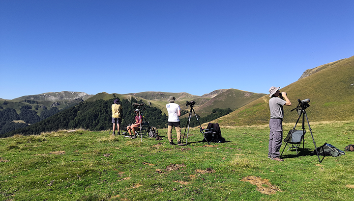 Col d'Organbidexka : bilan des premières semaines de suivi